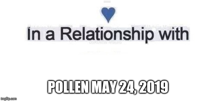 In a relationship | POLLEN MAY 24, 2019 | image tagged in in a relationship | made w/ Imgflip meme maker
