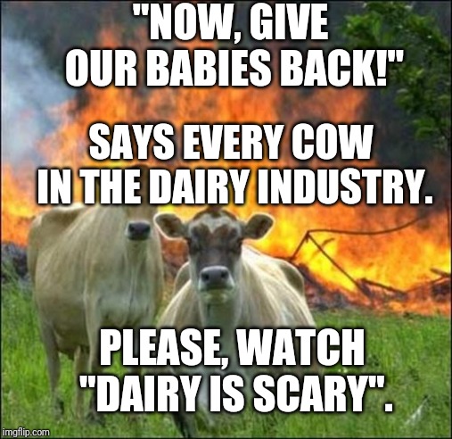 Evil Cows | "NOW, GIVE OUR BABIES BACK!"; SAYS EVERY COW IN THE DAIRY INDUSTRY. PLEASE, WATCH "DAIRY IS SCARY". | image tagged in memes,evil cows | made w/ Imgflip meme maker