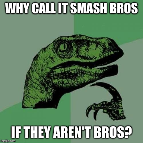 Philosoraptor Meme | WHY CALL IT SMASH BROS; IF THEY AREN'T BROS? | image tagged in memes,philosoraptor | made w/ Imgflip meme maker