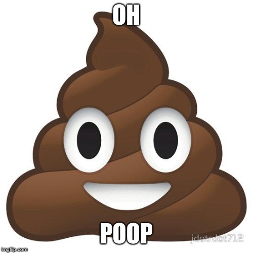 poop | OH POOP | image tagged in poop | made w/ Imgflip meme maker