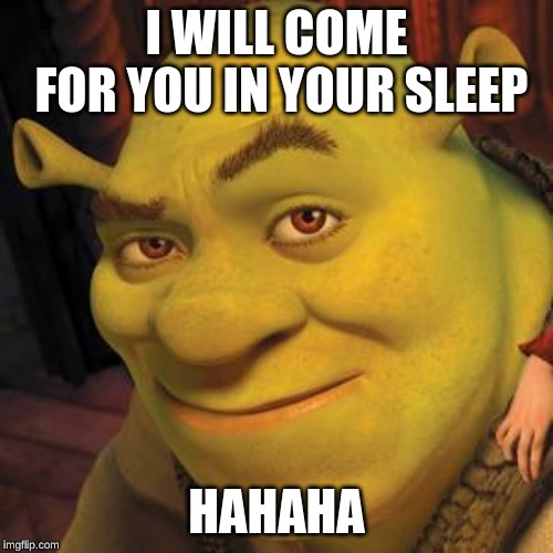 Shrek Sexy Face | I WILL COME FOR YOU IN YOUR SLEEP; HAHAHA | image tagged in shrek sexy face | made w/ Imgflip meme maker