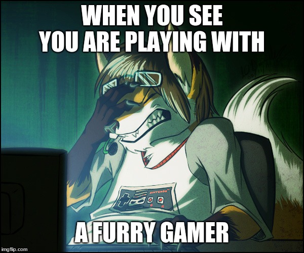 Furry facepalm |  WHEN YOU SEE YOU ARE PLAYING WITH; A FURRY GAMER | image tagged in furry facepalm | made w/ Imgflip meme maker