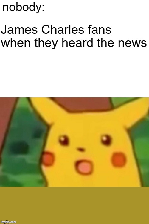 Surprised Pikachu Meme | nobody:; James Charles fans when they heard the news | image tagged in memes,surprised pikachu | made w/ Imgflip meme maker