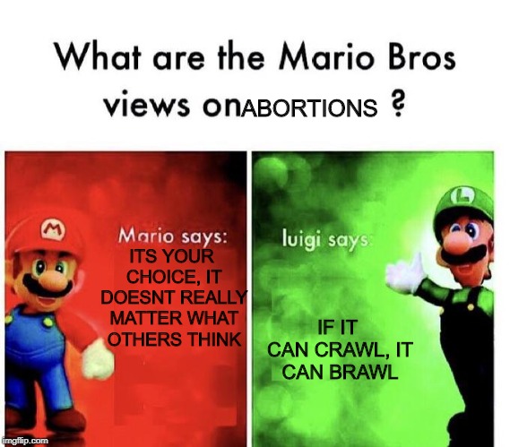 Mario Bros Views | ABORTIONS; ITS YOUR CHOICE, IT DOESNT REALLY MATTER WHAT OTHERS THINK; IF IT CAN CRAWL,
IT CAN BRAWL | image tagged in mario bros views | made w/ Imgflip meme maker