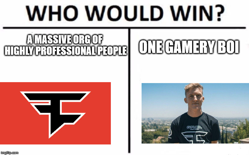 Who Would Win? | A MASSIVE ORG OF HIGHLY PROFESSIONAL PEOPLE; ONE GAMERY BOI | image tagged in memes,who would win | made w/ Imgflip meme maker