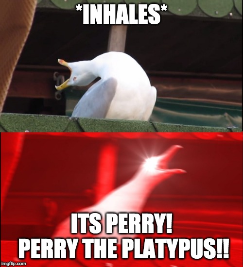 Screaming bird | *INHALES*; ITS PERRY! PERRY THE PLATYPUS!! | image tagged in screaming bird | made w/ Imgflip meme maker