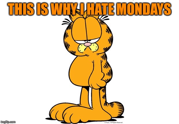 Grumpy Garfield | THIS IS WHY I HATE MONDAYS | image tagged in grumpy garfield | made w/ Imgflip meme maker