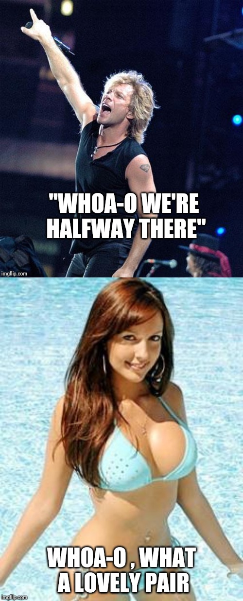 WHOA-O , WHAT A LOVELY PAIR | image tagged in bikini girl | made w/ Imgflip meme maker
