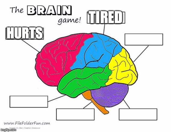 Brain | HURTS TIRED | image tagged in brain | made w/ Imgflip meme maker
