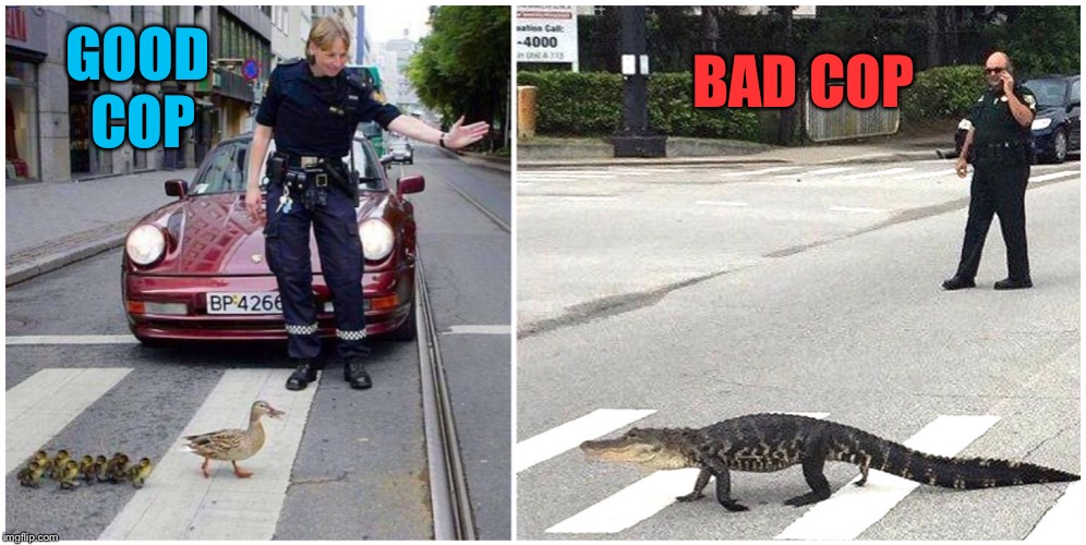 No good deed goes unpunished. | BAD COP; GOOD COP | image tagged in good,cops,dirty cops,ducks,alligators,funny memes | made w/ Imgflip meme maker