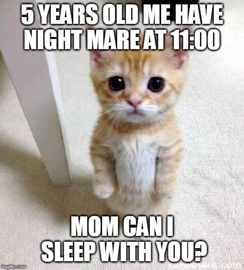Cute Cat Meme | 5 YEARS OLD ME HAVE NIGHT MARE AT 11:00; MOM CAN I SLEEP WITH YOU? | image tagged in memes,cute cat | made w/ Imgflip meme maker