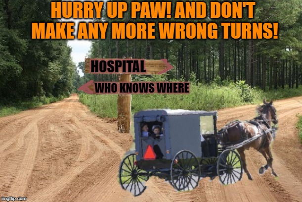 exit 12 before it was cool | HOSPITAL WHO KNOWS WHERE HURRY UP PAW! AND DON'T MAKE ANY MORE WRONG TURNS! | image tagged in exit 12 before it was cool | made w/ Imgflip meme maker
