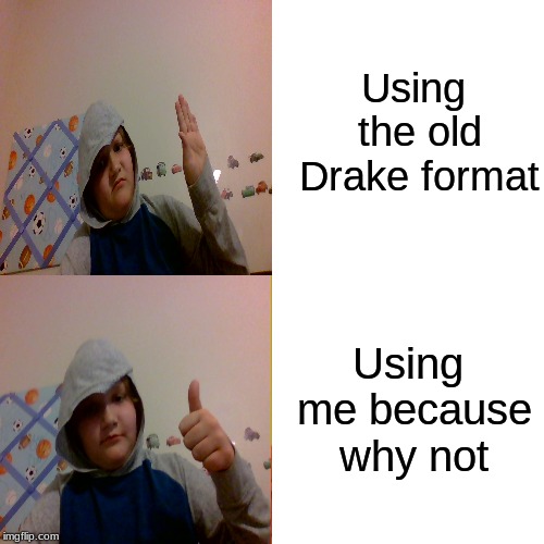 Drake Hotline Bling | Using the old Drake format; Using me because why not | image tagged in memes,drake hotline bling | made w/ Imgflip meme maker