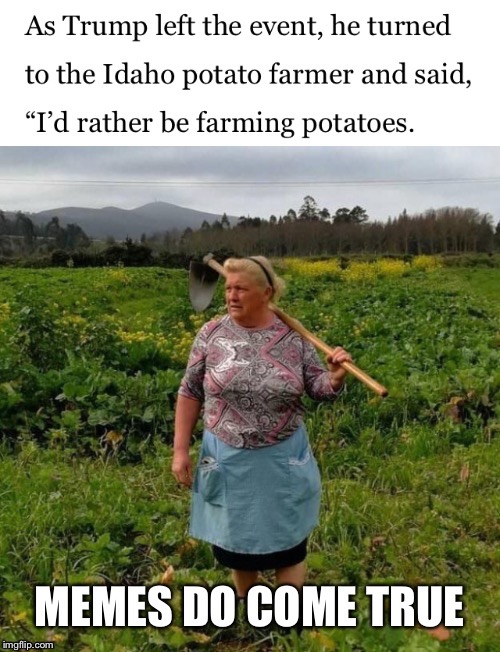 Trumpotato Farmer | image tagged in trump,potato,farming,memes,funny memes | made w/ Imgflip meme maker