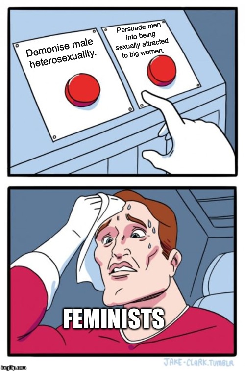 Two Buttons | Persuade men into being sexually attracted to big women. Demonise male heterosexuality. FEMINISTS | image tagged in memes,two buttons | made w/ Imgflip meme maker