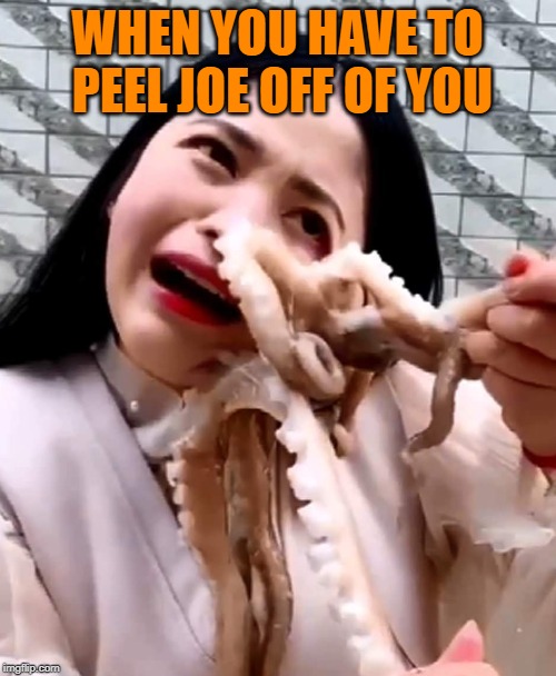 Octopus | WHEN YOU HAVE TO PEEL JOE OFF OF YOU | image tagged in octopus | made w/ Imgflip meme maker