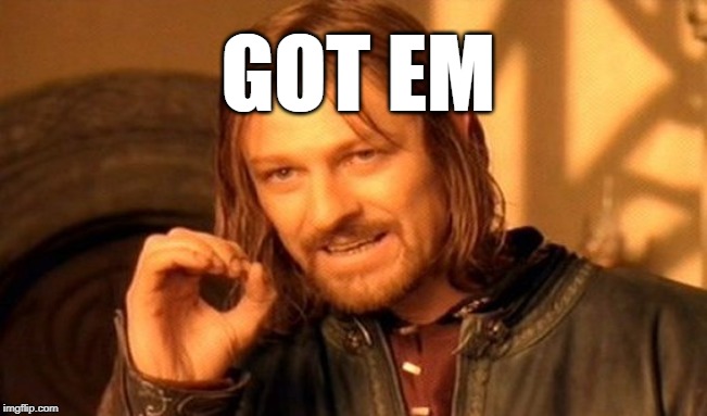 One Does Not Simply Meme | GOT EM | image tagged in memes,one does not simply | made w/ Imgflip meme maker