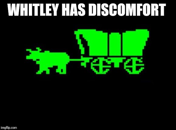 Oregon trail | WHITLEY HAS DISCOMFORT | image tagged in oregon trail | made w/ Imgflip meme maker