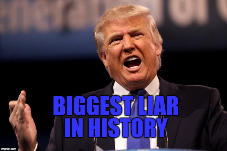 Liar | BIGGEST LIAR; IN HISTORY | image tagged in donald trump,liar | made w/ Imgflip meme maker