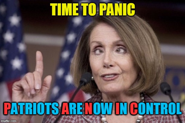 Nancy pelosi | TIME TO PANIC PATRIOTS ARE NOW IN CONTROL P                    A      N         I    C | image tagged in nancy pelosi | made w/ Imgflip meme maker