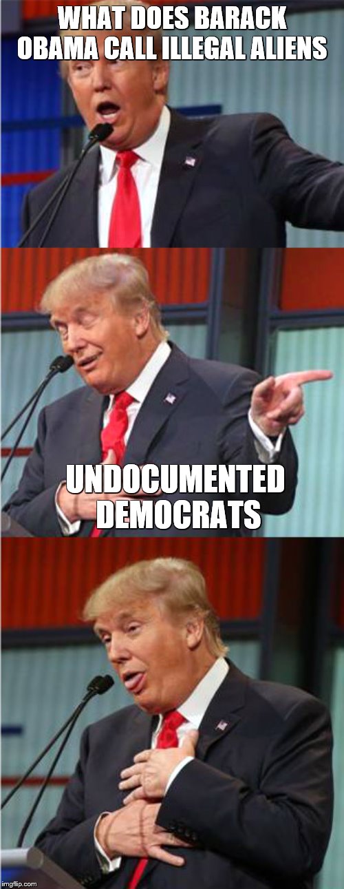Bad Pun Trump | WHAT DOES BARACK OBAMA CALL ILLEGAL ALIENS; UNDOCUMENTED DEMOCRATS | image tagged in bad pun trump,barack obama,donald trump approves,illegal aliens | made w/ Imgflip meme maker