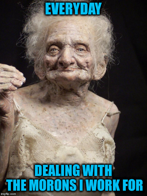 Old Woman | EVERYDAY DEALING WITH THE MORONS I WORK FOR | image tagged in old woman | made w/ Imgflip meme maker