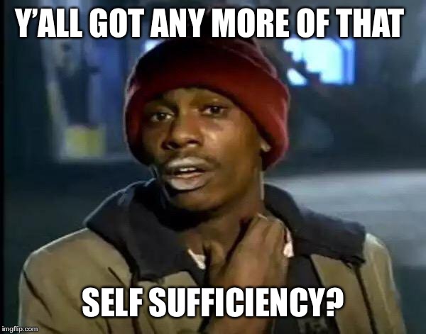 Y'all Got Any More Of That Meme | Y’ALL GOT ANY MORE OF THAT SELF SUFFICIENCY? | image tagged in memes,y'all got any more of that | made w/ Imgflip meme maker