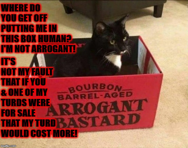 ARROGANT | WHERE DO YOU GET OFF PUTTING ME IN THIS BOX HUMAN? I'M NOT ARROGANT! IT'S NOT MY FAULT THAT IF YOU & ONE OF MY TURDS WERE FOR SALE THAT MY TURD WOULD COST MORE! | image tagged in arrogant | made w/ Imgflip meme maker