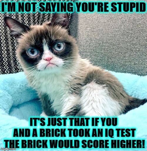 I'M NOT SAYING | I'M NOT SAYING YOU'RE STUPID; IT'S JUST THAT IF YOU AND A BRICK TOOK AN IQ TEST THE BRICK WOULD SCORE HIGHER! | image tagged in i'm not saying | made w/ Imgflip meme maker