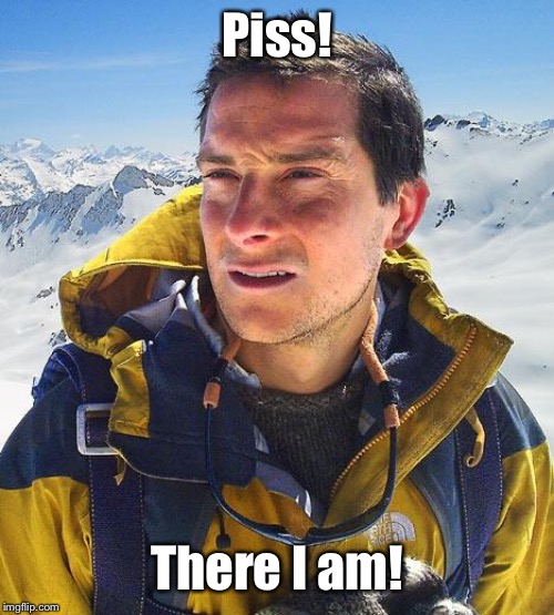 Bear Grylls Meme | Piss! There I am! | image tagged in memes,bear grylls | made w/ Imgflip meme maker