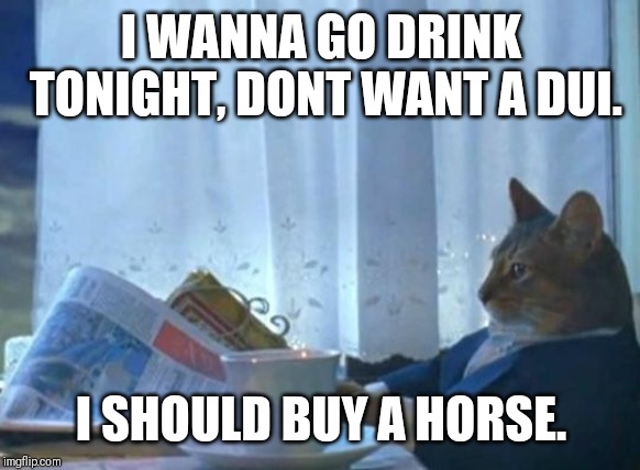 Cat newspaper | I WANNA GO DRINK TONIGHT, DONT WANT A DUI. I SHOULD BUY A HORSE. | image tagged in cat newspaper | made w/ Imgflip meme maker