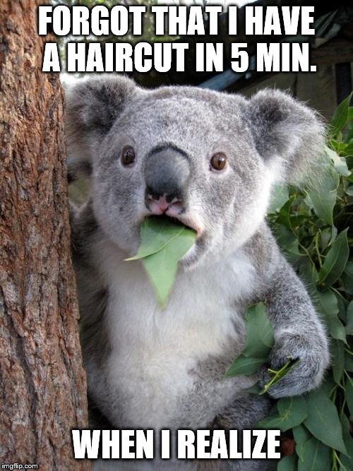 Surprised Koala | FORGOT THAT I HAVE A HAIRCUT IN 5 MIN. WHEN I REALIZE | image tagged in memes,surprised koala | made w/ Imgflip meme maker