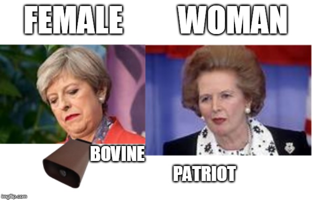 Teresa Female, Thatcher Patriot | FEMALE         WOMAN; BOVINE                                                    PATRIOT | image tagged in teresa may,margaret thatcher,teresa cow,treason may,cry,traitor | made w/ Imgflip meme maker