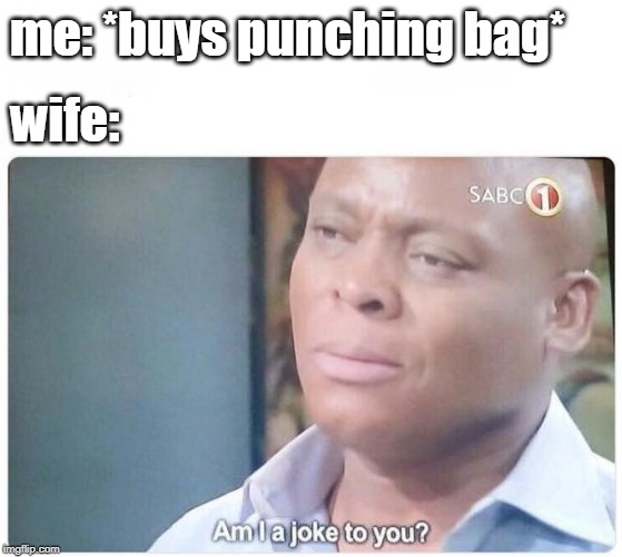 Am I a joke to you | me: *buys punching bag*; wife: | image tagged in am i a joke to you | made w/ Imgflip meme maker