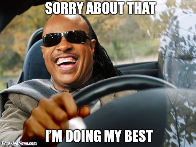 Stevie Wonder Driving | I’M DOING MY BEST SORRY ABOUT THAT | image tagged in stevie wonder driving | made w/ Imgflip meme maker