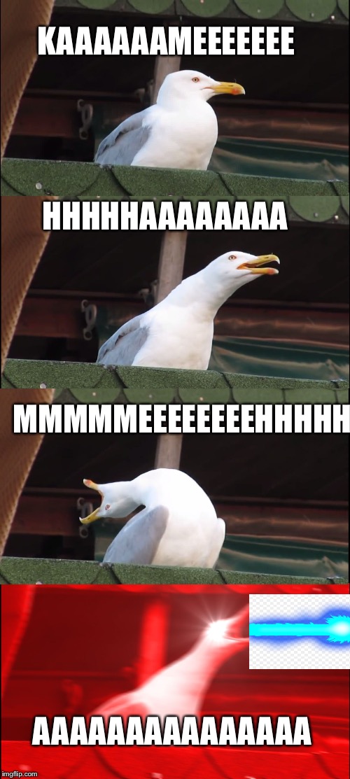 Inhaling Seagull Meme | KAAAAAAMEEEEEEE; HHHHHAAAAAAAA; MMMMMEEEEEEEEHHHHH; AAAAAAAAAAAAAAA | image tagged in memes,inhaling seagull | made w/ Imgflip meme maker