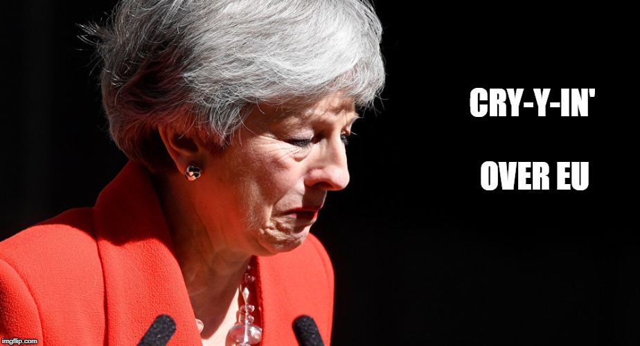 Stand down Margaret, I mean Theresa |  CRY-Y-IN'; OVER EU | image tagged in theresa may crying | made w/ Imgflip meme maker