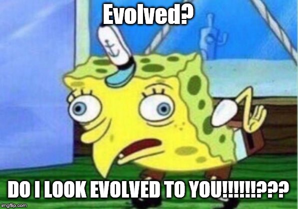 Mocking Spongebob Meme | Evolved? DO I LOOK EVOLVED TO YOU!!!!!!??? | image tagged in memes,mocking spongebob | made w/ Imgflip meme maker
