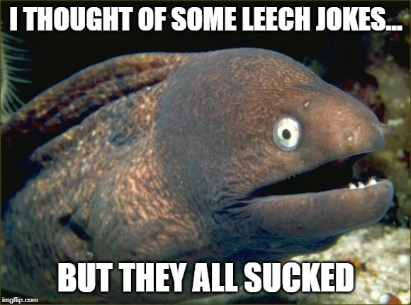 Bad Joke Eel Meme | I THOUGHT OF SOME LEECH JOKES... BUT THEY ALL SUCKED | image tagged in memes,bad joke eel | made w/ Imgflip meme maker