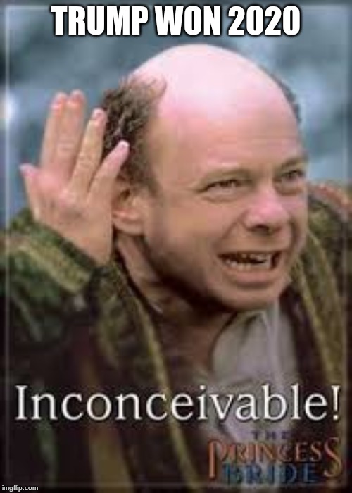 inconceivable | TRUMP WON 2020 | image tagged in inconceivable | made w/ Imgflip meme maker