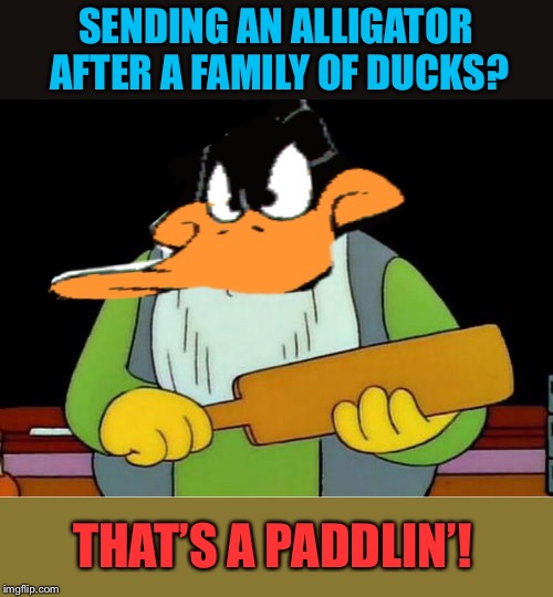 SENDING AN ALLIGATOR AFTER A FAMILY OF DUCKS? THAT’S A PADDLIN’! | made w/ Imgflip meme maker