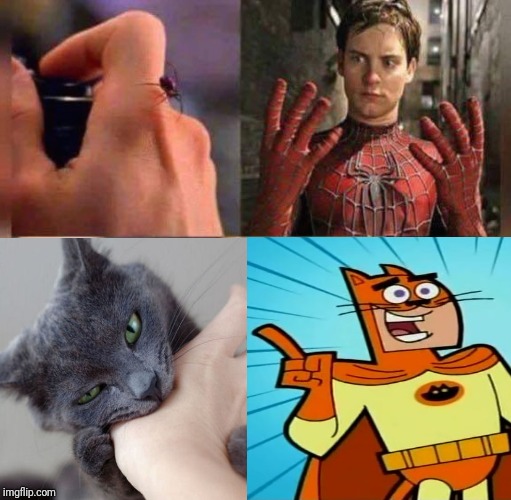 Another spider bite meme idea | image tagged in memes,spider bite,fairy odd parents,cat,funny,spiderman | made w/ Imgflip meme maker