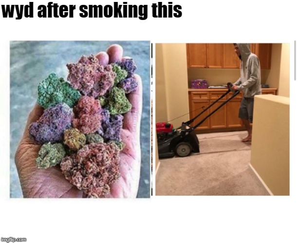 wyd after smoking this | image tagged in wyd after smoking this | made w/ Imgflip meme maker