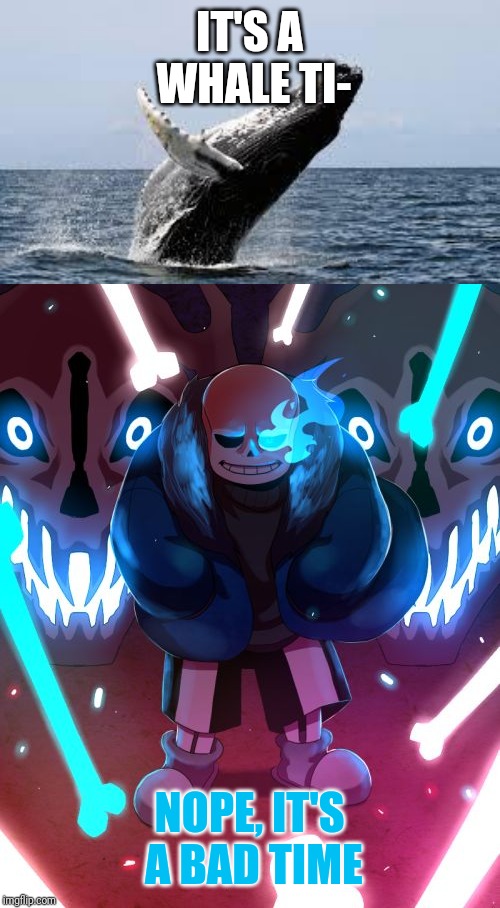 IT'S A WHALE TI- NOPE, IT'S A BAD TIME | image tagged in whale,sans undertale | made w/ Imgflip meme maker