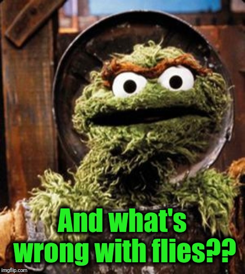 Oscar the Grouch | And what's wrong with flies?? | image tagged in oscar the grouch | made w/ Imgflip meme maker