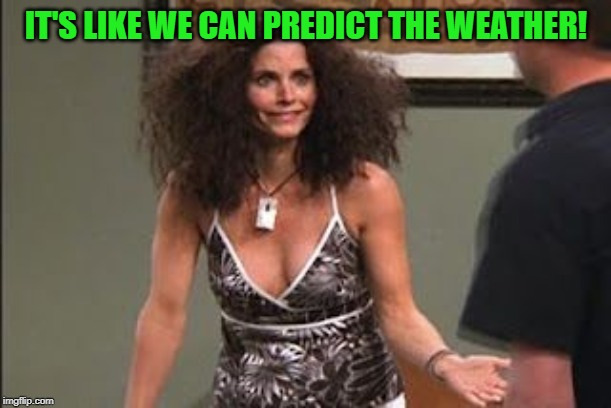 Friends Bad Hair | IT'S LIKE WE CAN PREDICT THE WEATHER! | image tagged in friends bad hair | made w/ Imgflip meme maker