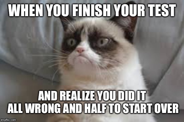 we all suffer this tragedy at some point in our learning careers | image tagged in grumpy cat,school,test,cat memes,meme,funny | made w/ Imgflip meme maker