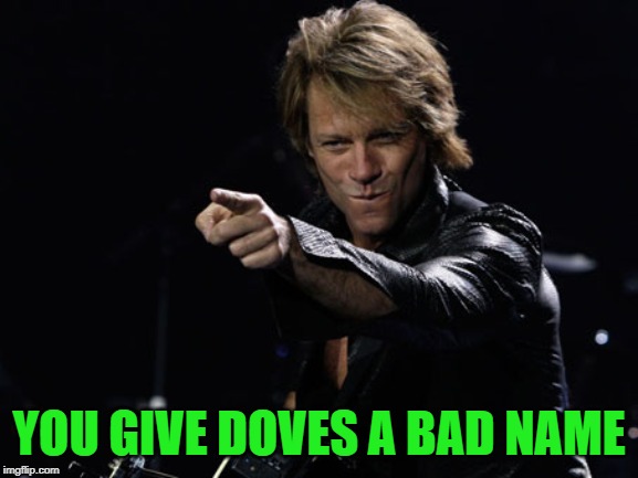 Bon Jovi Finger Point | YOU GIVE DOVES A BAD NAME | image tagged in bon jovi finger point | made w/ Imgflip meme maker