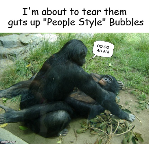 High Quality Monkeys Having Sex People Style Blank Meme Template