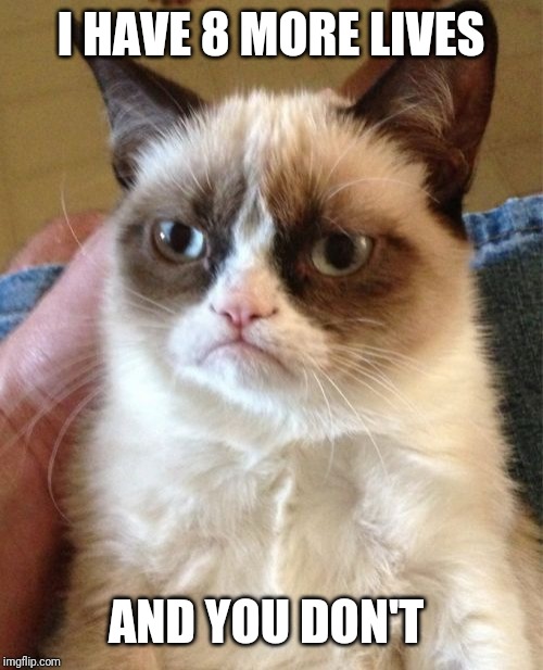 Grumpy Cat Meme | I HAVE 8 MORE LIVES AND YOU DON'T | image tagged in memes,grumpy cat | made w/ Imgflip meme maker
